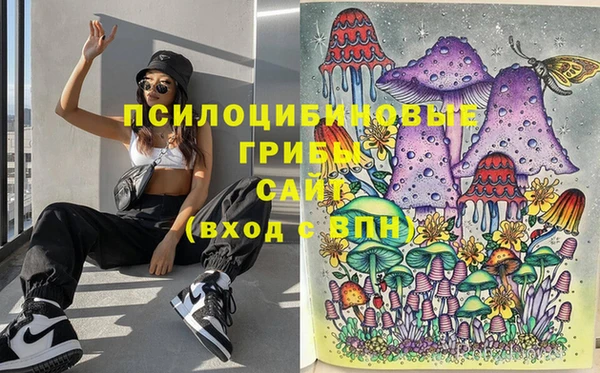ПСИЛОЦИБИНОВЫЕ ГРИБЫ Арсеньев