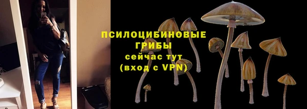 ECSTASY Армянск