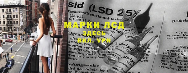 ПСИЛОЦИБИНОВЫЕ ГРИБЫ Арсеньев