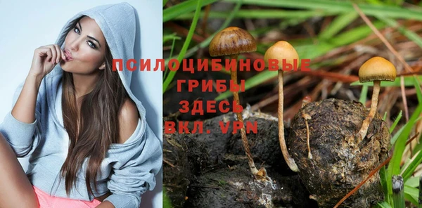 ПСИЛОЦИБИНОВЫЕ ГРИБЫ Арсеньев