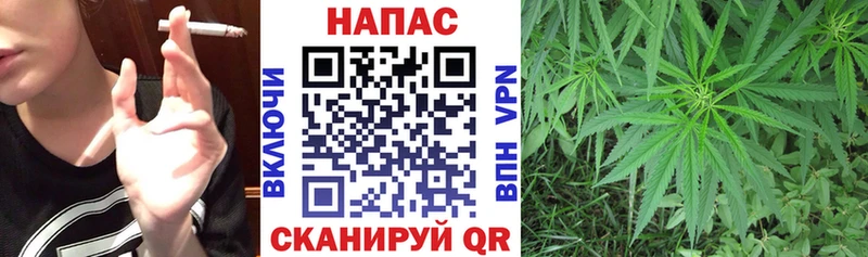 как найти наркотики  blacksprut ONION  Марихуана LSD WEED  Новозыбков 